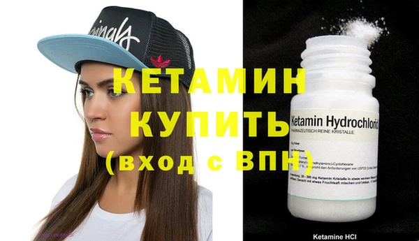СК Новозыбков
