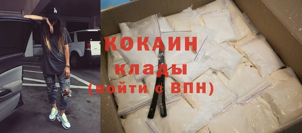 СК Новозыбков