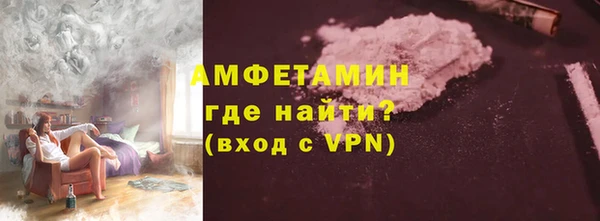 индика Долгопрудный