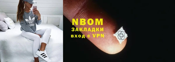 СК Новозыбков