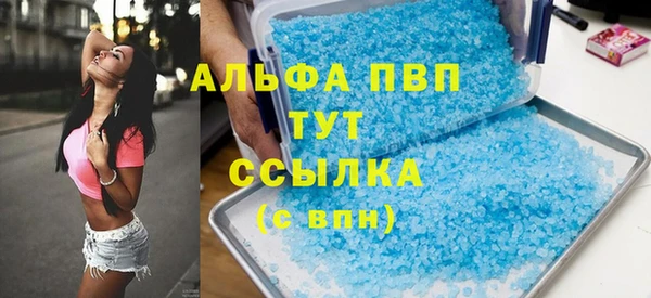 СК Новозыбков