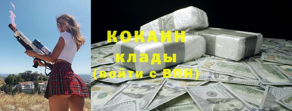 СК Новозыбков