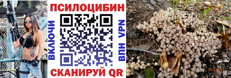 Галлюциногенные грибы Magic Shrooms  закладка  кракен как зайти  Мурманск 