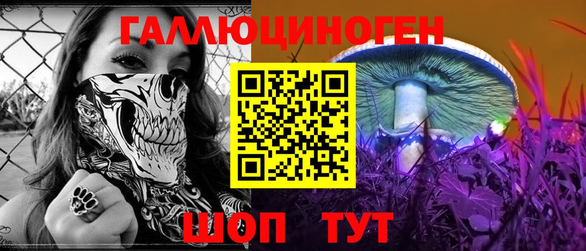 Галлюциногенные грибы прущие грибы Мурманск