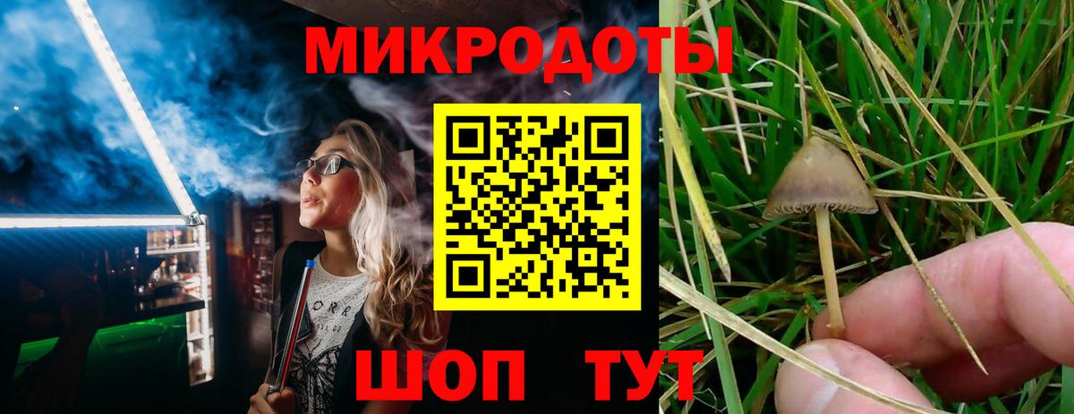 Галлюциногенные грибы Cubensis  Вход с VPN  наркошоп  Мурманск 